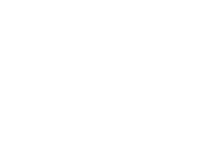 vom Krokodilebande